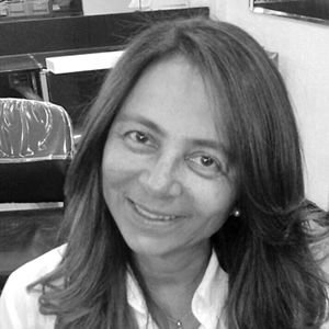 Ana Cristina Bicharra Garcia